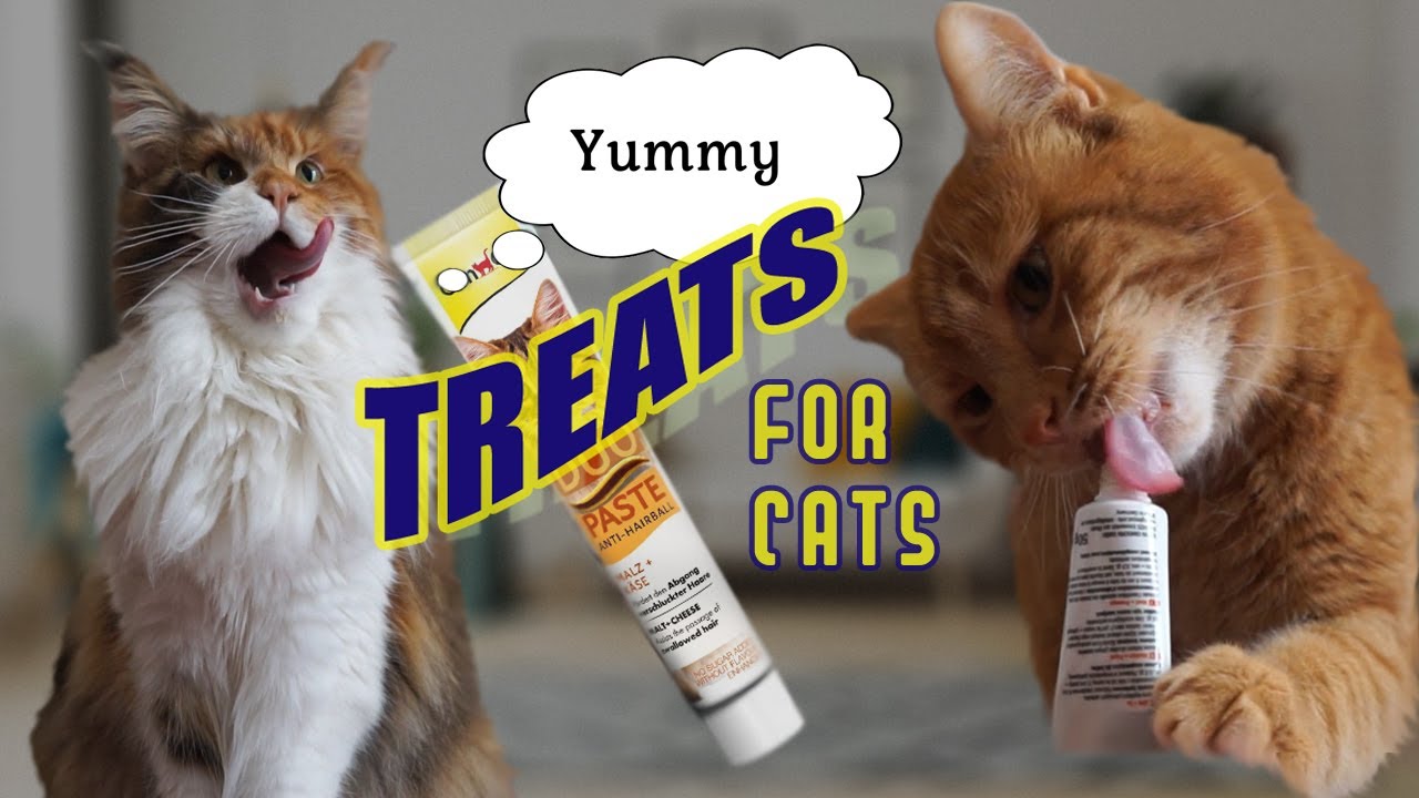 Treats for Cats YouTube