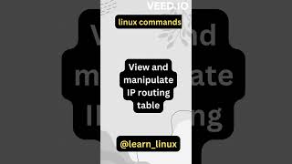 Celebrity Mastering Linux route| #shorts #linux #learn_linux Wealth