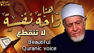 أروع ما قد تسمعه أذناك ! 😭 صوت رنان مخلوط بشجن عجيب 👌 الشيخ أبو عامر | Wonderful Quranic voice screenshot 4