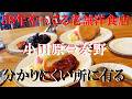 NEW 山付近に有る58年やってる老舗洋食店の肉料理がウマ過ぎました【レストラン 三味】