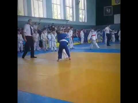 Дзюдо иппон и Вазари