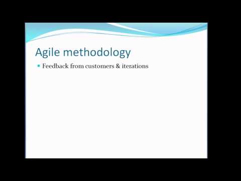 Automated Web Testing