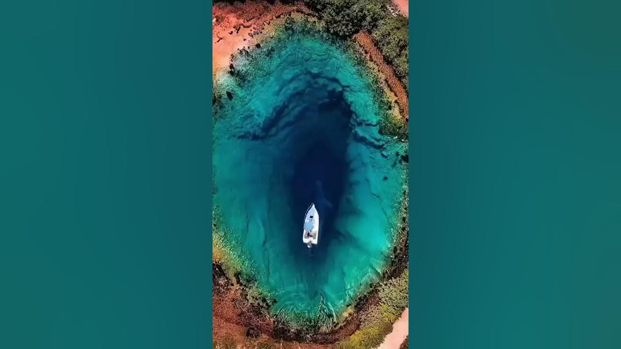 Largest Blue Whale on Earth the best Sound in the Entire World💙|| Ijju_mariym