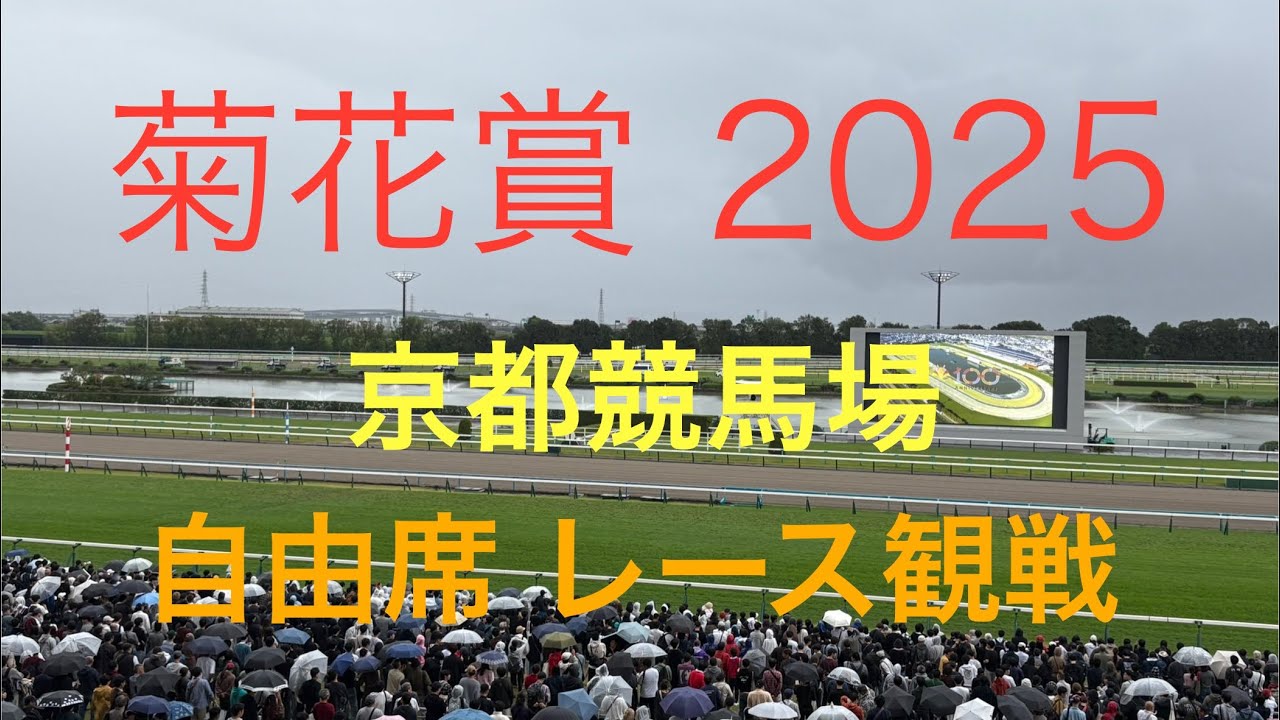京都競馬場　自由席（ステーションサイド）　菊花賞　パドック　レース観戦VIEW