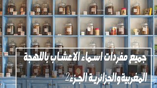 اول قاموس مرادفات أسماء الاعشاب الطبية الشرقية باللهجة المغربية الجزء الثاني