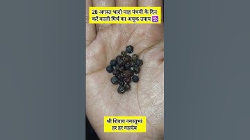 28 अगस्त भादो माह पंचमी के दिन करें काली मिर्च का अचूक उपाय #pradeepmishra #upay #mahadev