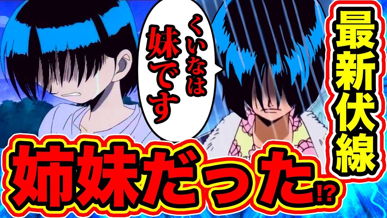 ワンピース考察 くいなとたしぎは姉妹だった 最新伏線が にあった 同一人物説 双子説の真相解明 One Piece考察 One Piece速報