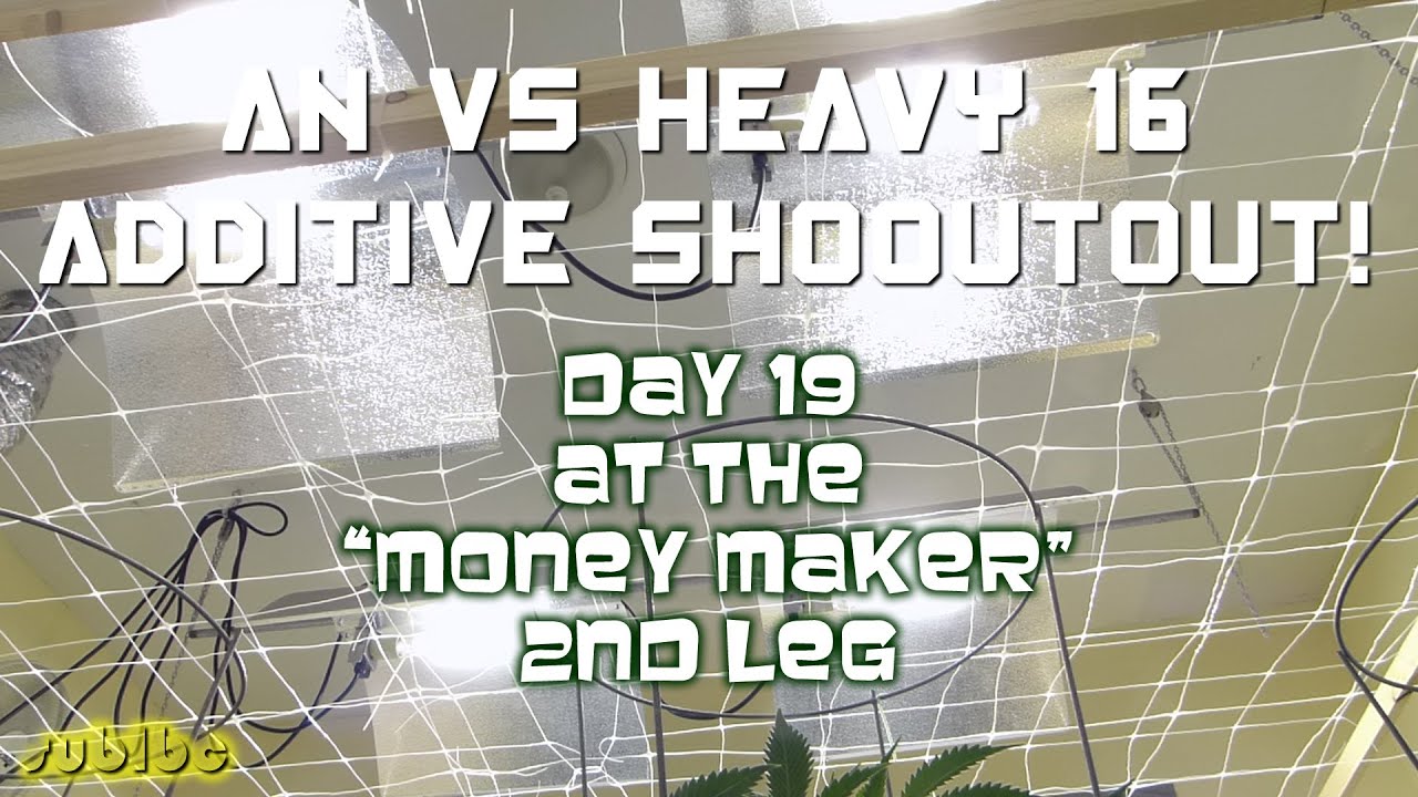 AN vs Heavy 16 Additive Shootout - Day 19 - Money Maker SFVOG 2nd Leg