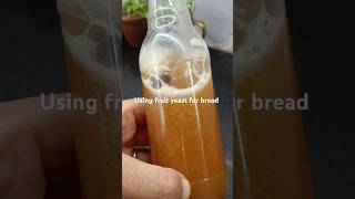 Yeast making episode 2: Using fruit yeast in bread baking #shortsfeed