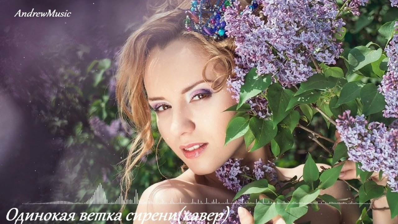 Одинокая ветка сирени (кавер)