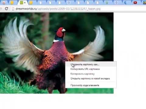 ХОРОШИЙ ЗАРАБОТОК В ИНТЕРНЕТЕ КАК ВЫПОЛНЯТЬ ЗАДАНИЕ ФОТОГРАФИИ-20-08-2015