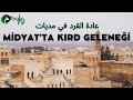     عادة القرد في مديات