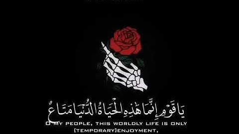 حالات واتساب دينيه تلاوة القرآن الكريم بصوت الشيخ خالد الجليل