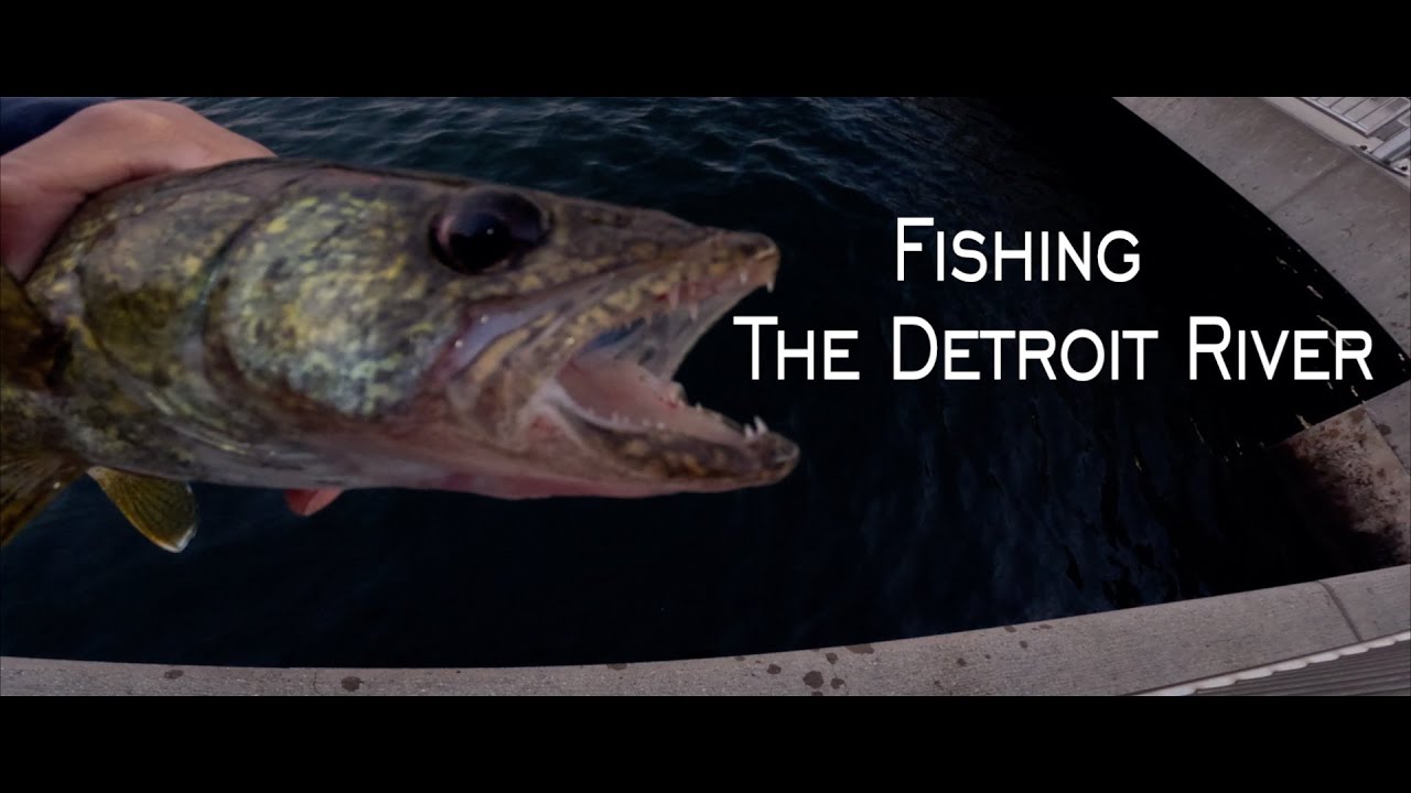 🎣So MANY Species In This River!  