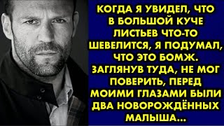 Когда я увидел, что в большой куче листьев что-то шевелится, я подумал, что это бомж. Заглянув туда