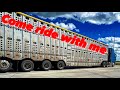 Bull hauling in the cabover nebraska and idaho we go