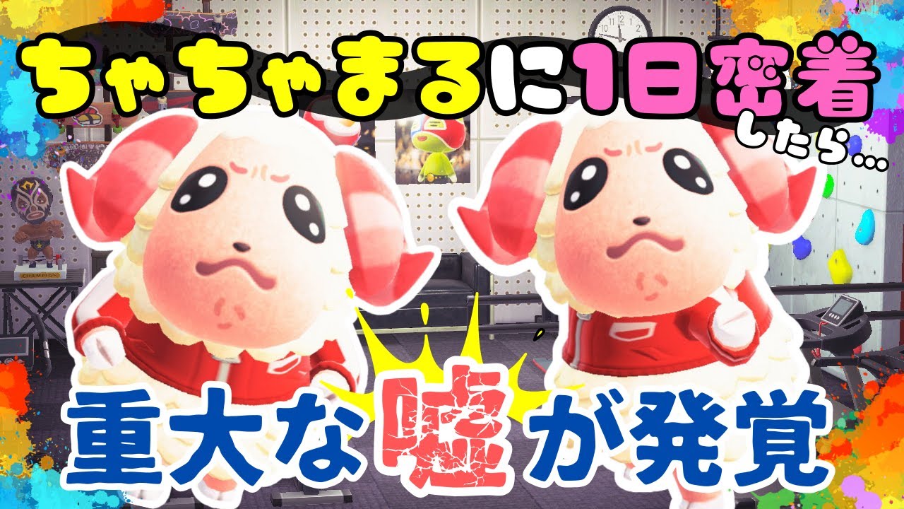 あつ森】ちゃちゃまるに一日密着したらキャラ設定が崩壊しました - YouTube