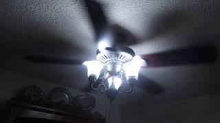 Hampton Bay Cameron? ceiling fan