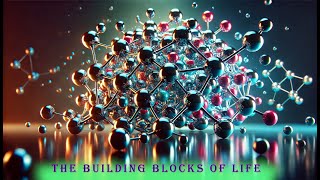 Understanding Macromolecules: The Building Blocks of Life
