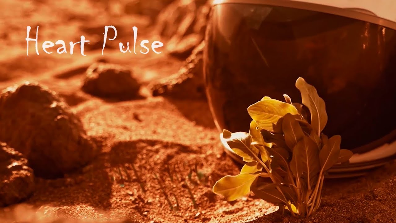 Watch Nilebu - Heart Pulse on YouTube Watch Nilebu - Heart Pulse on YouTube