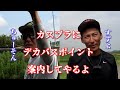デカバスばかり釣れる川に案内された件