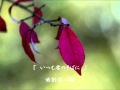 いつも君のそばに