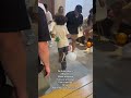 tudo que fizemos no chá de bebê do Cadu. #chadebebe #shortsviral #shorts #maternidade