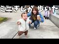 ミニぎしが歩けるようになりました