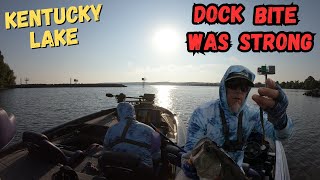 Kentucky Lake B Fishing Tournament Practice Exposed Bfl July 2025