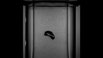 Tesscorn Multiphase Flow - Photron Fluid Dynamics