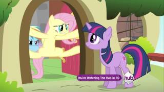 twilight and rainbowdash try to make fluttershy watch the dragon migration