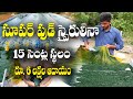 డిమాండ్ ఉన్న పంట - స్పైరులినా || ఏ తిప్పలు లేకుండా మార్కెటింగ్ || Spirulina Farming || Bharat