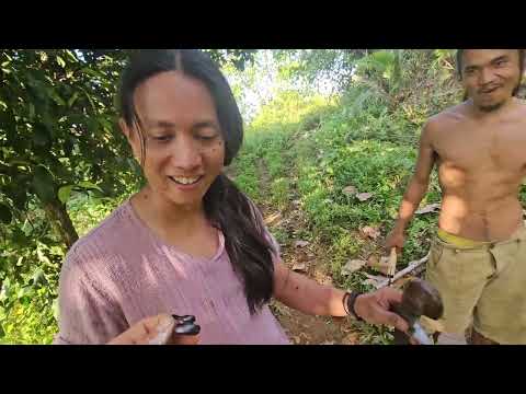 IRL Jungling #2 SAVE THESE FRUIT TREES #coloniadivina #eden