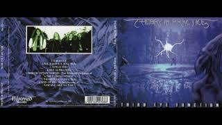 Theory In Practice – Third Eye Function