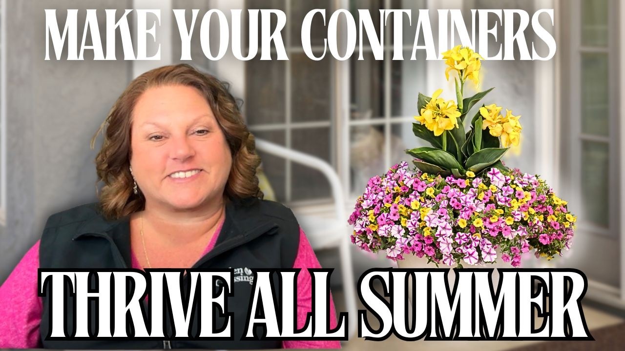 Как сделать так, чтобы ваши контейнерные композиции радовали глаз весь сезон 🌿