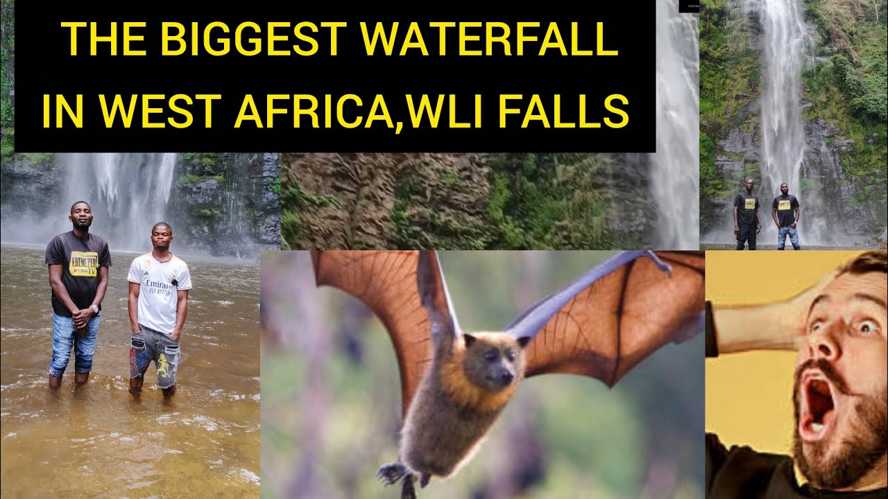 The Biggest waterfall in West Africa,wli WaterFalls Ghana.