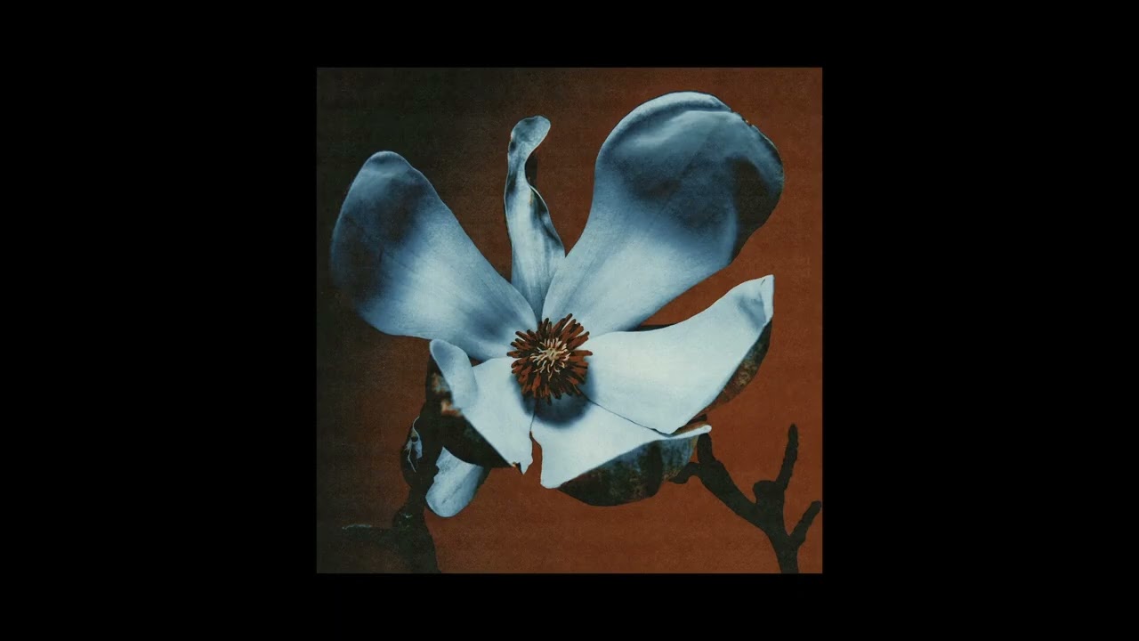 (FREE) Zamdane x Karmen Type Beat - 