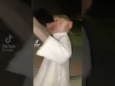 Arab Moneys Arab Arabic Monkey