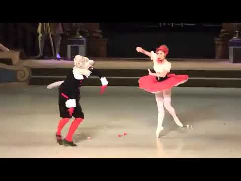 赤頭巾と狼「眠れる森の美女」マリインスキー劇場 Chaperon Rouge et le Loup"Sleeping Beauty" Mariinsky Ballet 40
