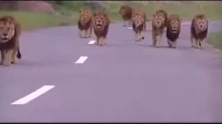 Hum Din Ka jhanda gadenge