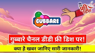 Gubbare Channel Launching On DD Free Dish?|New Cartoon On dd free dish|New Update Today 2022