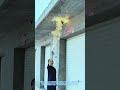 How to Safely Remove a Wasp Nest