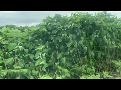 網走バス 車窓 常呂 網走駅前 常呂線 常呂0発 網走bt行 Youtube 網走バス 車窓 常呂 網走駅前 常呂線 常呂0発 網走bt行 Youtube