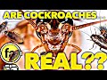 Are cockroaches real  factsma