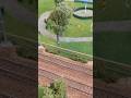 Hobby Model Expo Novegro 2025 #modeltrains #trains #modelrailway #diorama