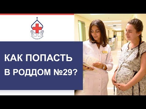 Как попасть в Роддом №29