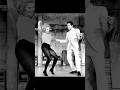 From Poverty to the Throne: The Rise and Fall of Elvis Presley
