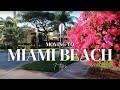 moving to miami beach: 7 things i wish i knew