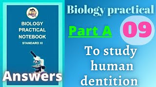 To study human dentition biology practical class 11 experiment 9 part b answers