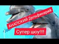 #дельфинарий #Анапа #море #vlog ШИКАРНОЕ ШОУ!!! АНАПСКИЙ ДЕЛЬФИНАРИЙ / ЦЕНЫ / АНАПА 2 июля 2020 г.